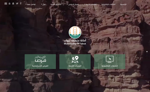 معاينة المشروع